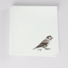 Box of 3 Organic Handkerchiefs with a sparrow Drawn by Philipp Gaber  Made in Paris France